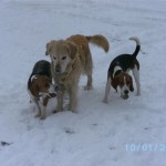 Erster Schnee für Nayeli und Samia